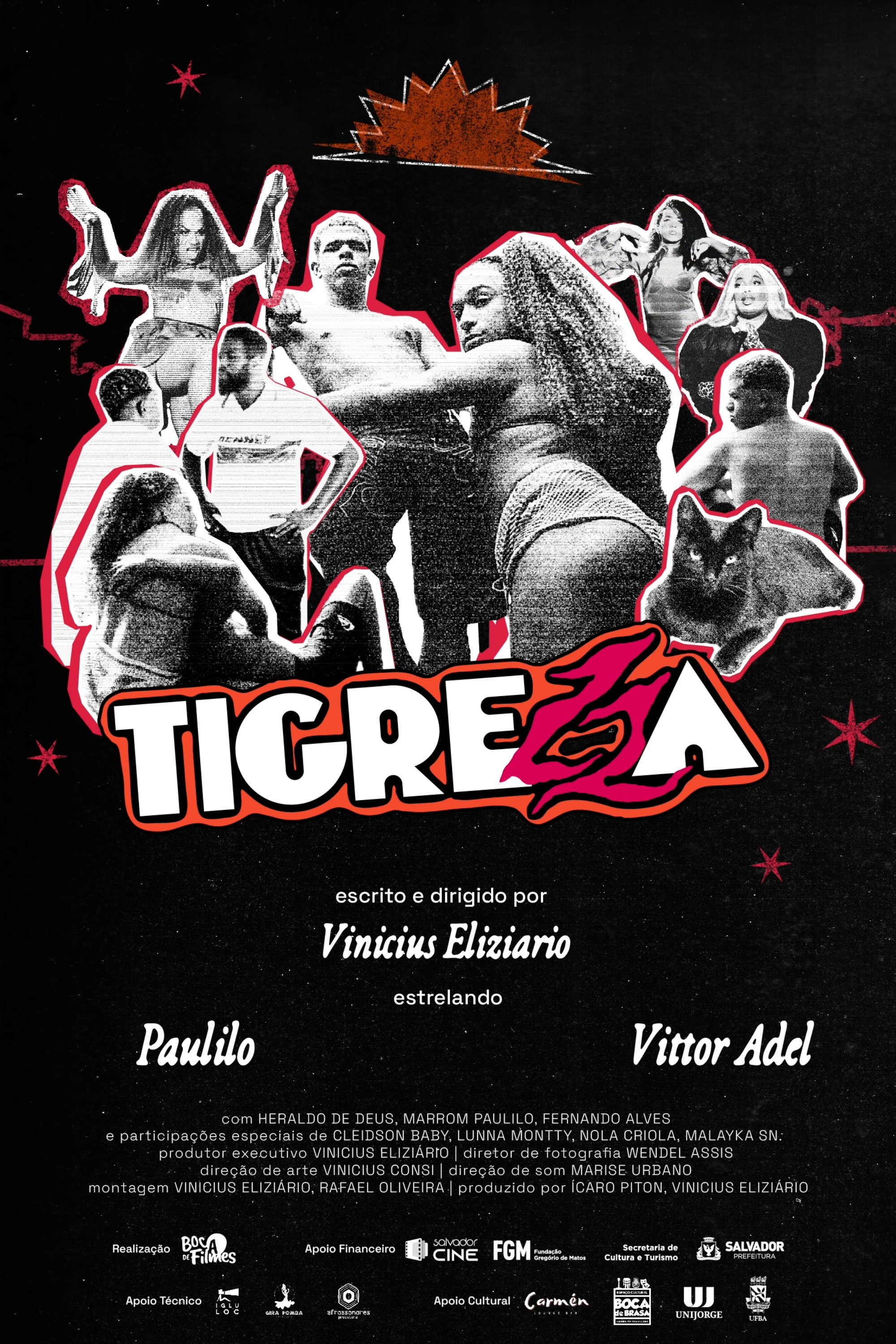 Poster de Tigrezza