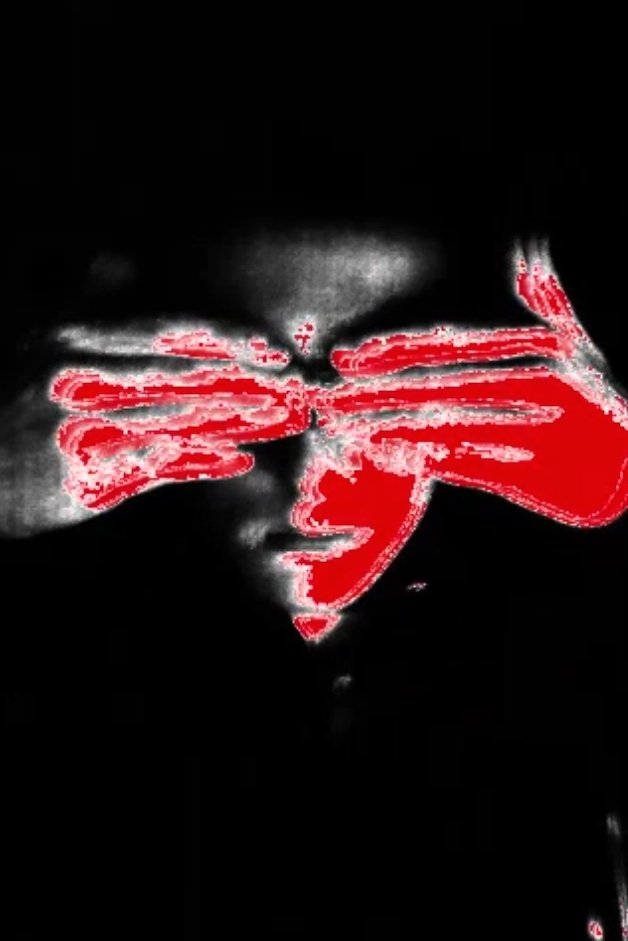 Poster de Callafrasses Bumblebee