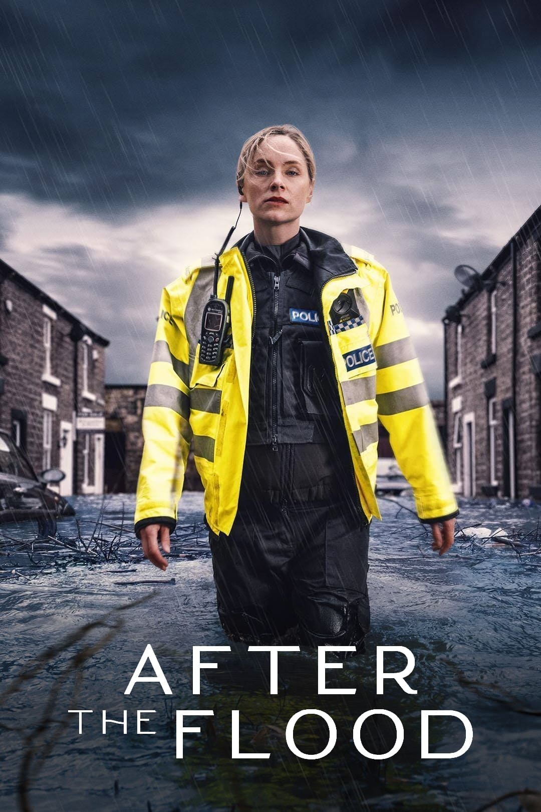 Poster de After the Flood