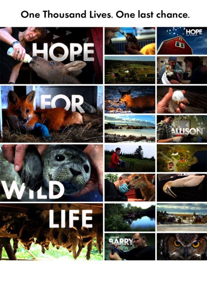 Poster de Hope for Wildlife