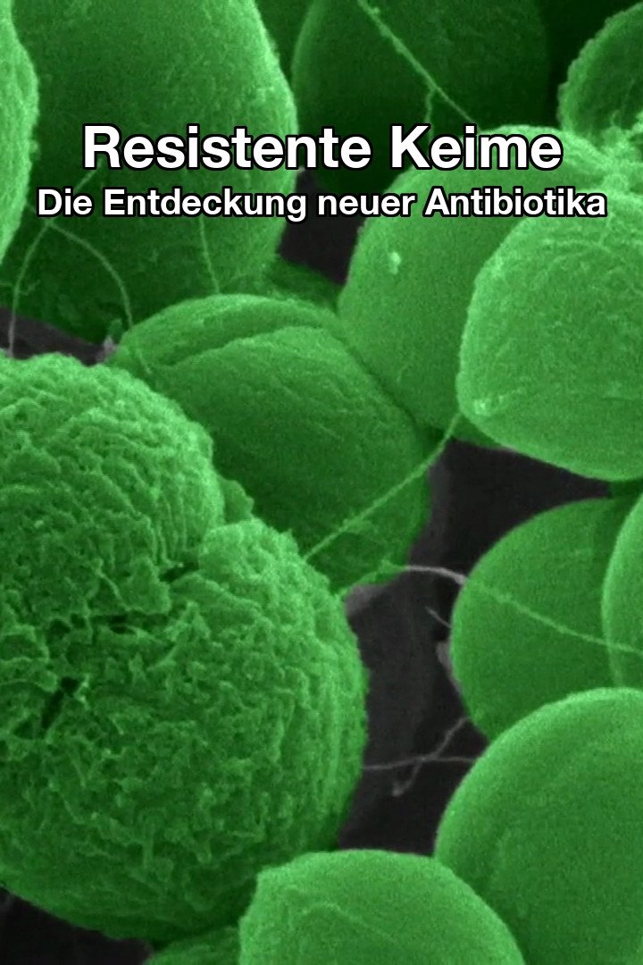 Poster de The Nature of Things: The Antibiotic Hunters