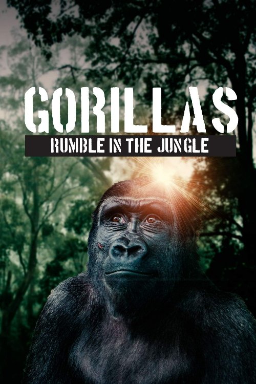 Poster de Gorillas: Rumble in the Jungle