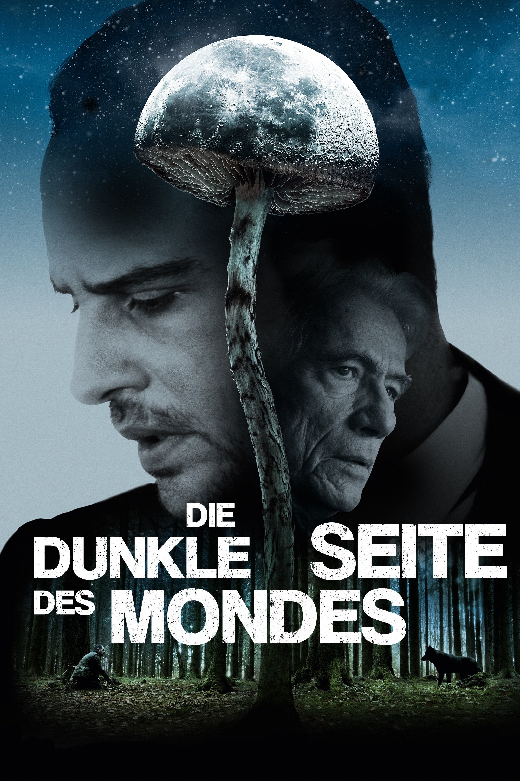 Poster de Die dunkle Seite des Mondes