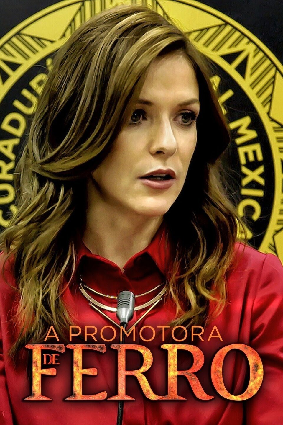 Poster de A Promotora de Ferro