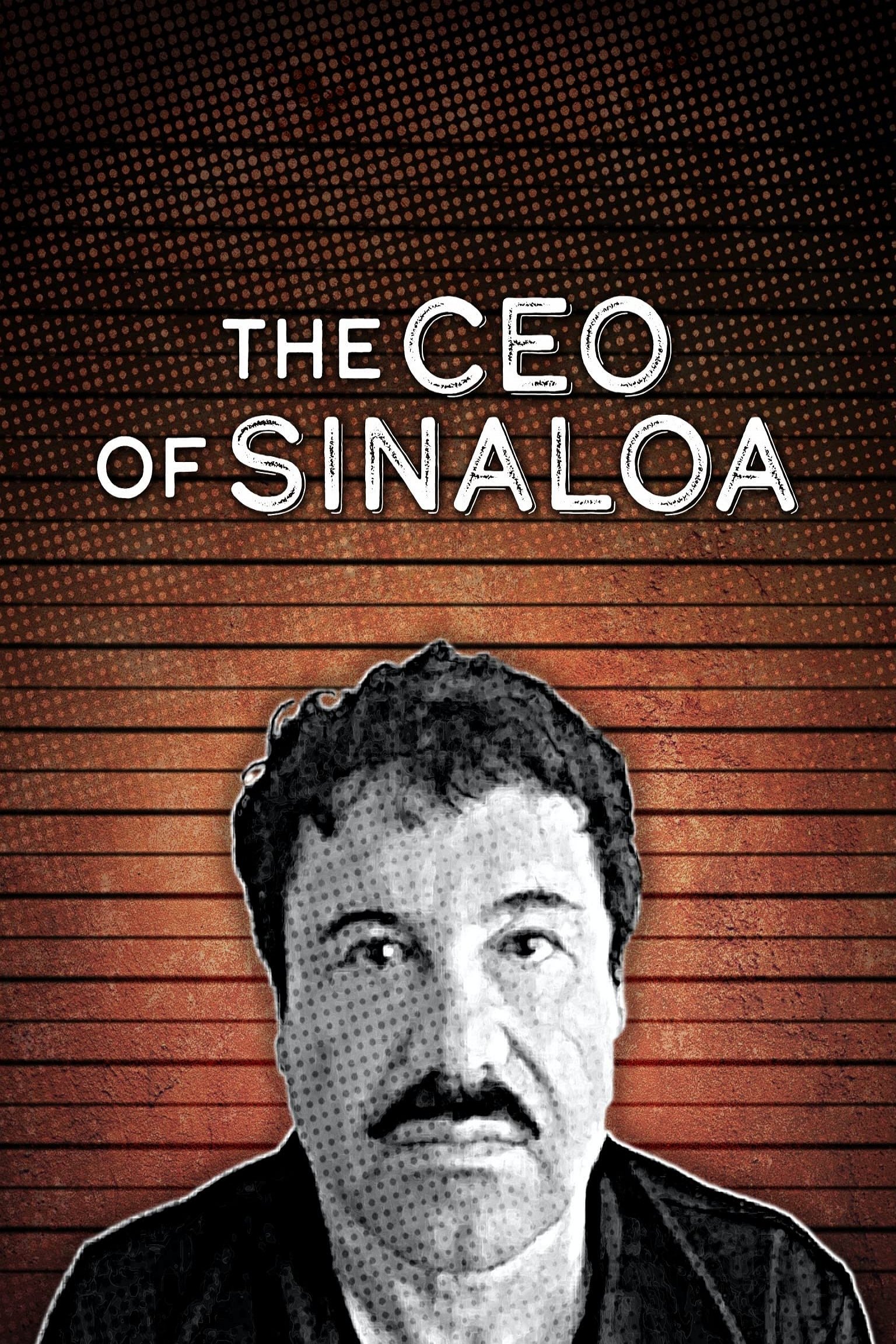 Poster de The CEO of Sinaloa