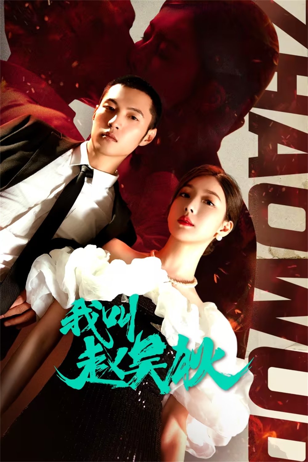 Poster de 我叫赵吴狄