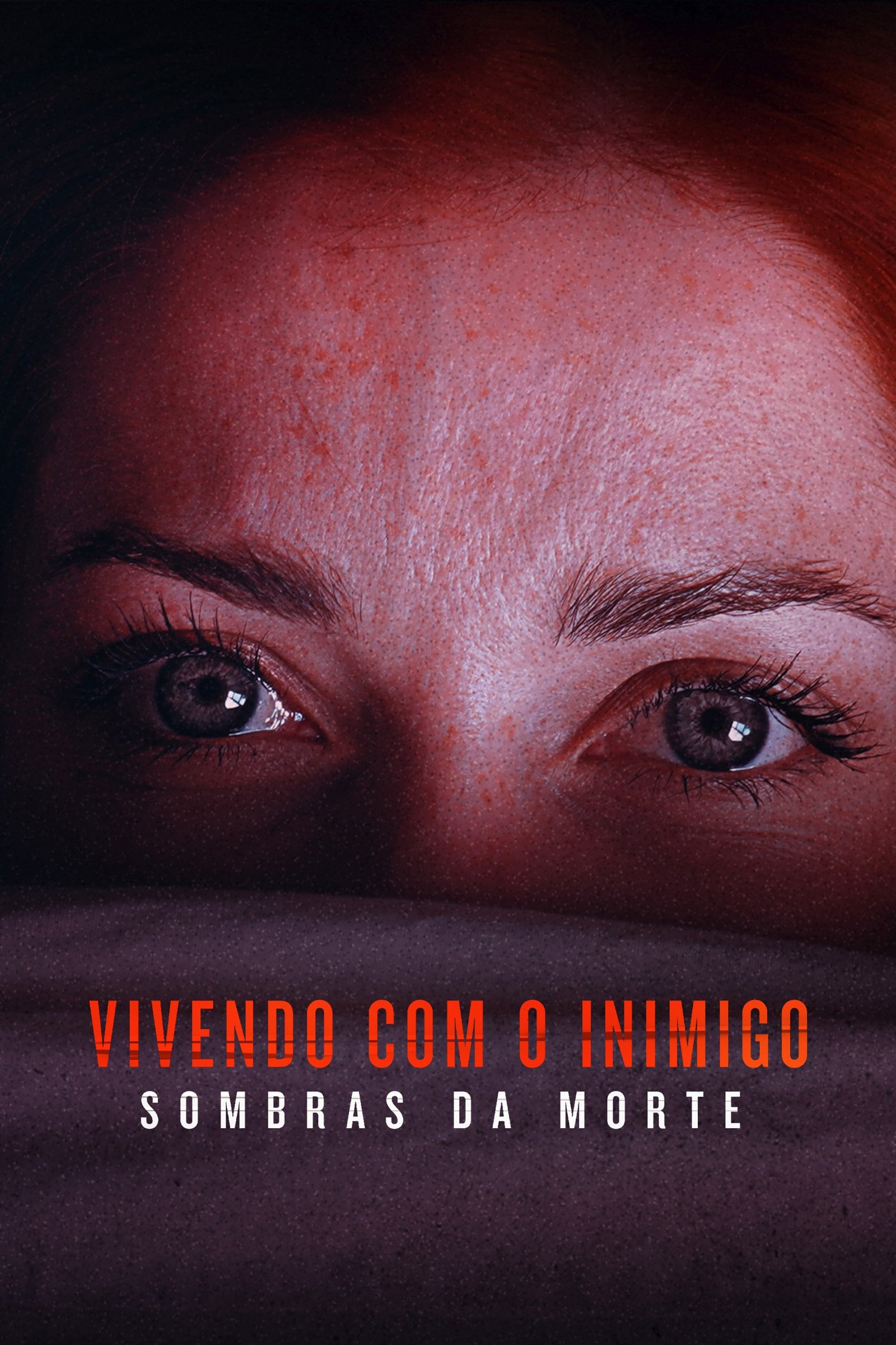 Poster de Temporada 3