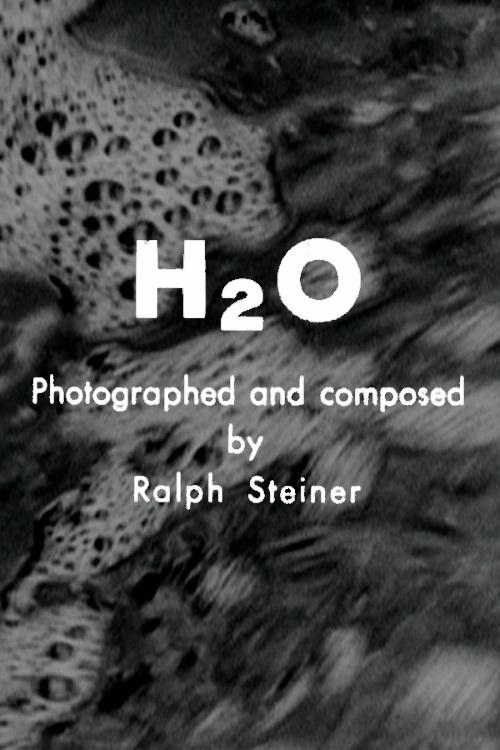 Poster de H₂O