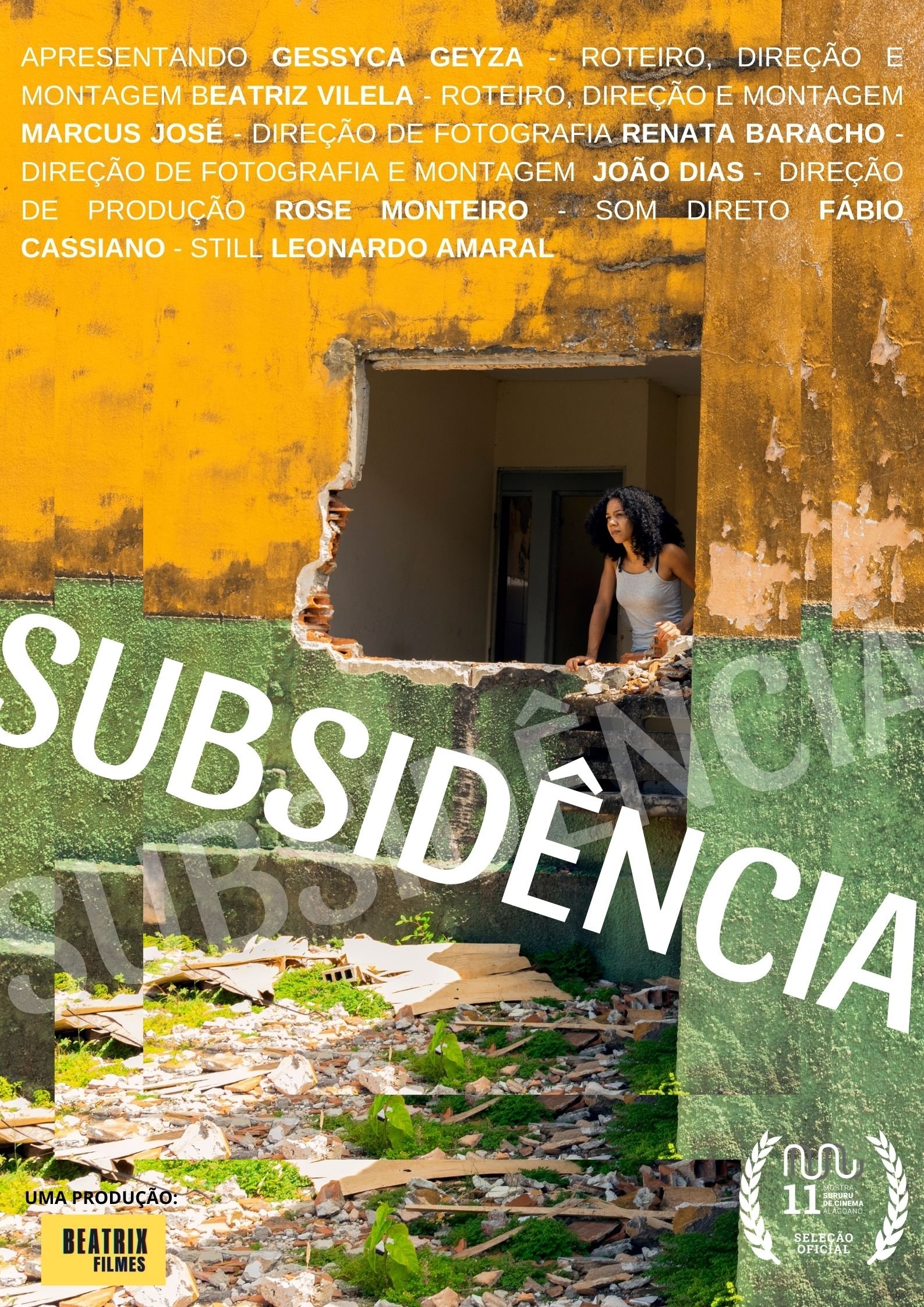 Poster de Subsidência