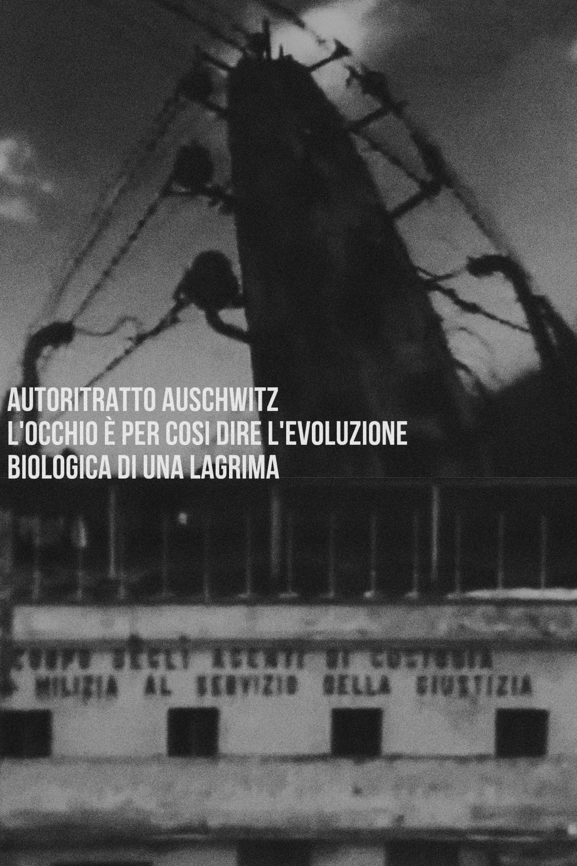 Poster de Autoritratto Auschwitz. L'occhio è per così dire l'evoluzione biologica di una lagrima