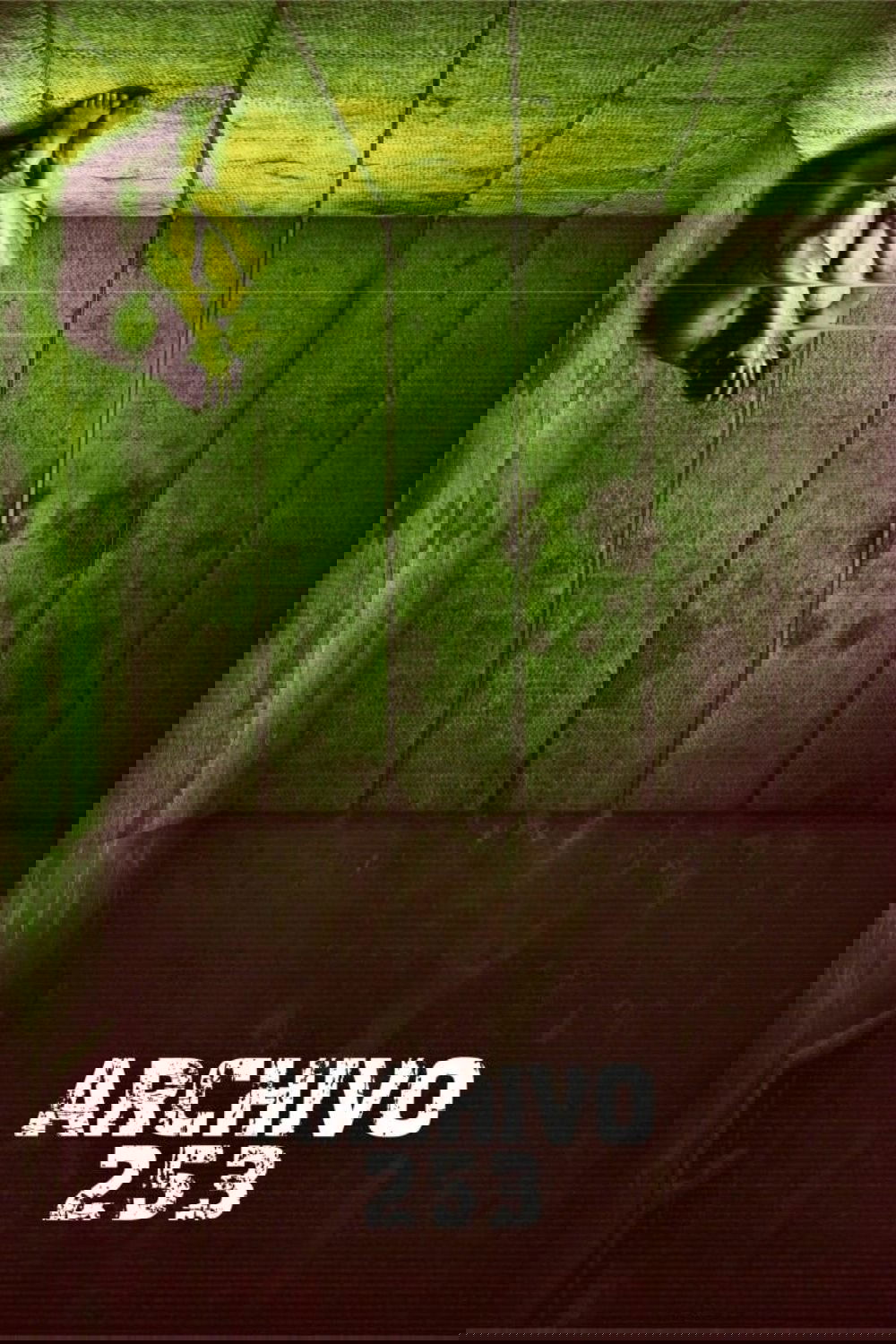 Poster de Arquivo 253