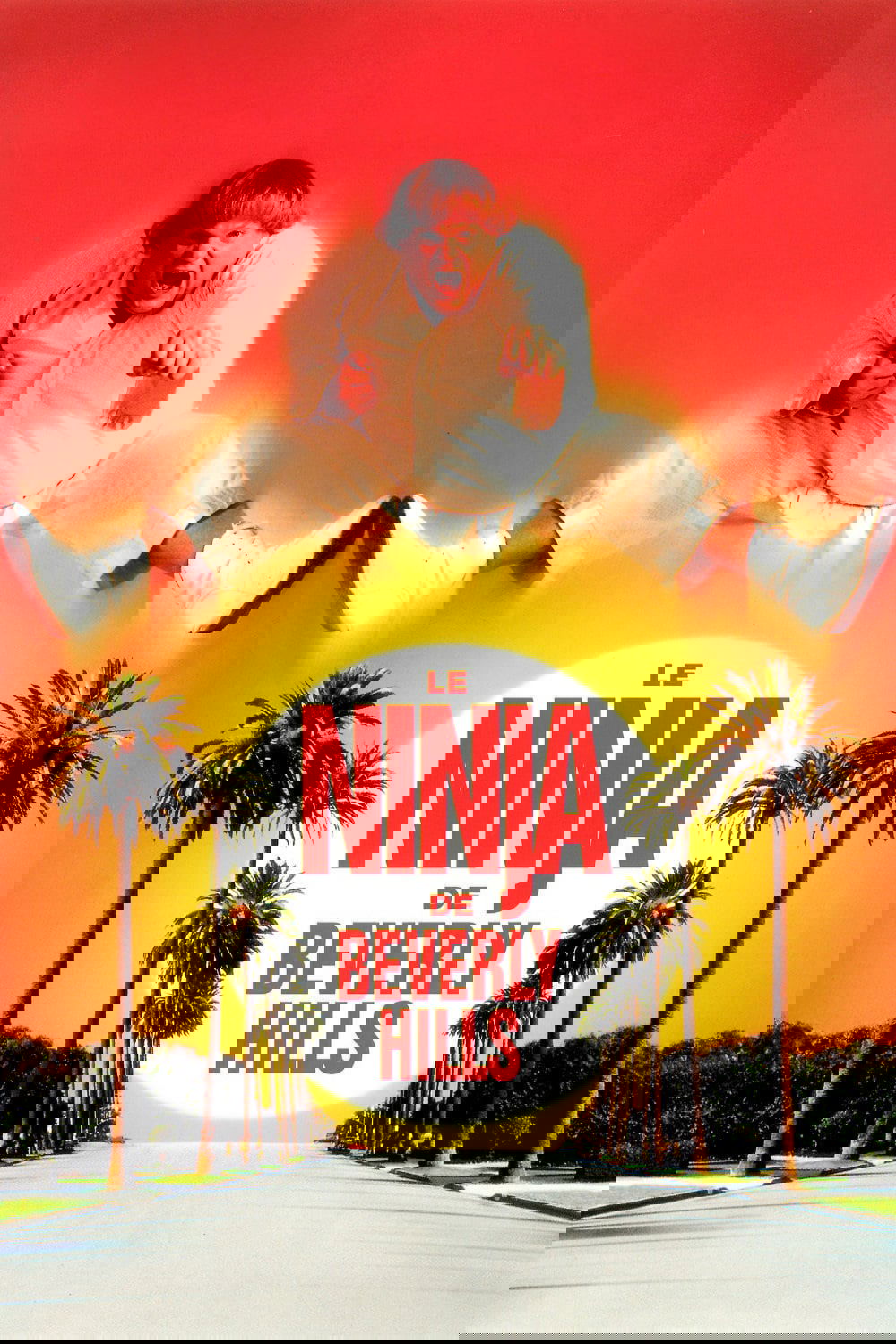 Affiche du film Beverly Hills Ninja