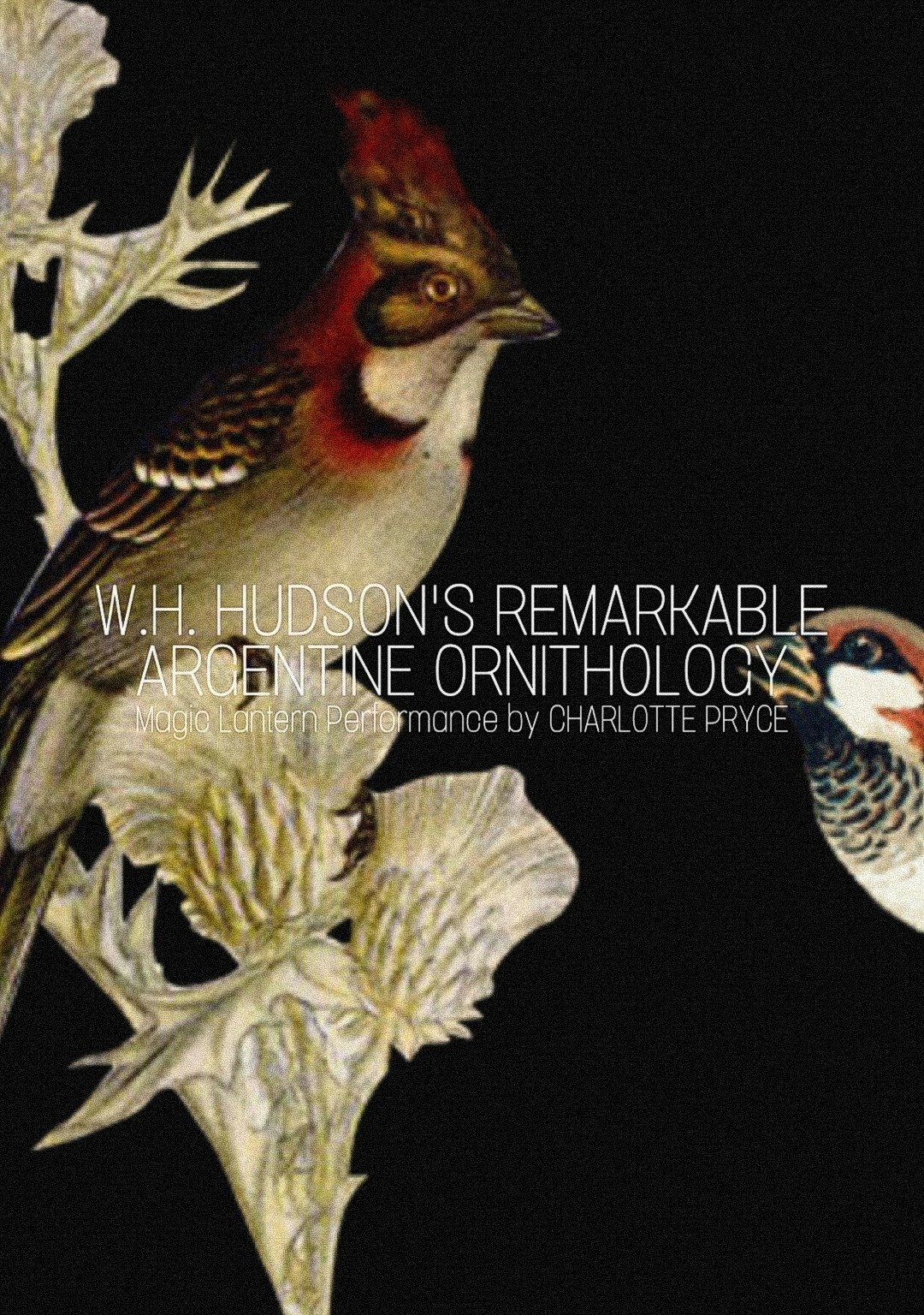 Poster de W.H. Hudson’s Remarkable Argentine Ornithology