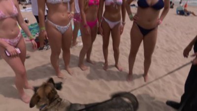 Spring Break: Bombed at the Beach