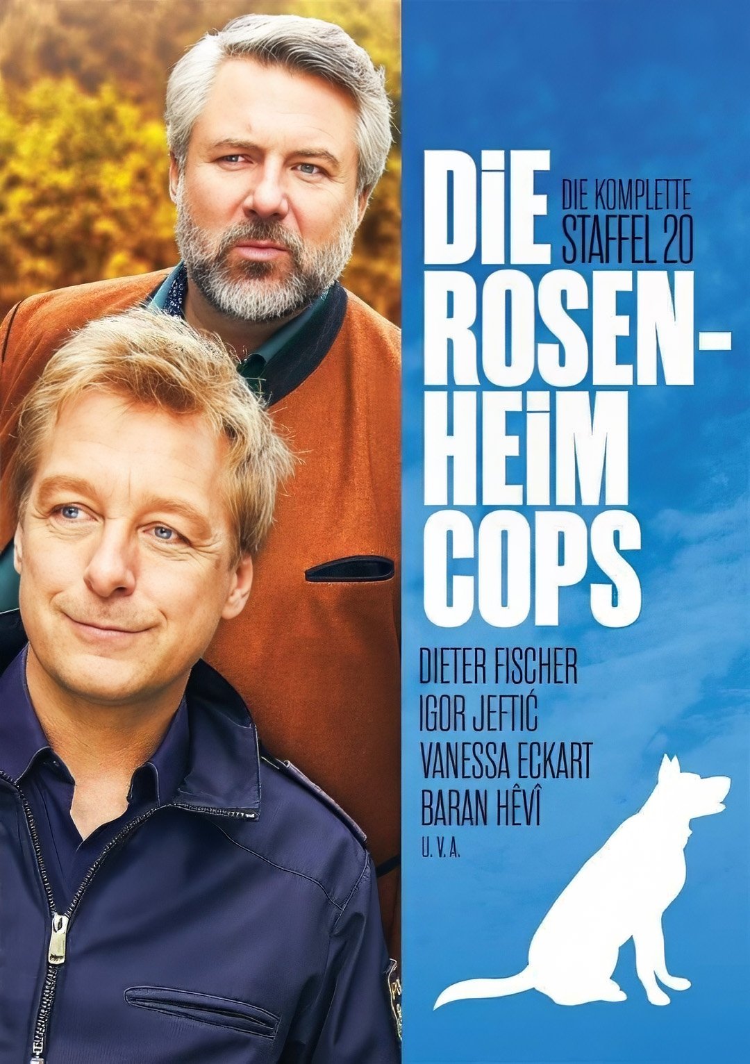 Poster de Temporada 20