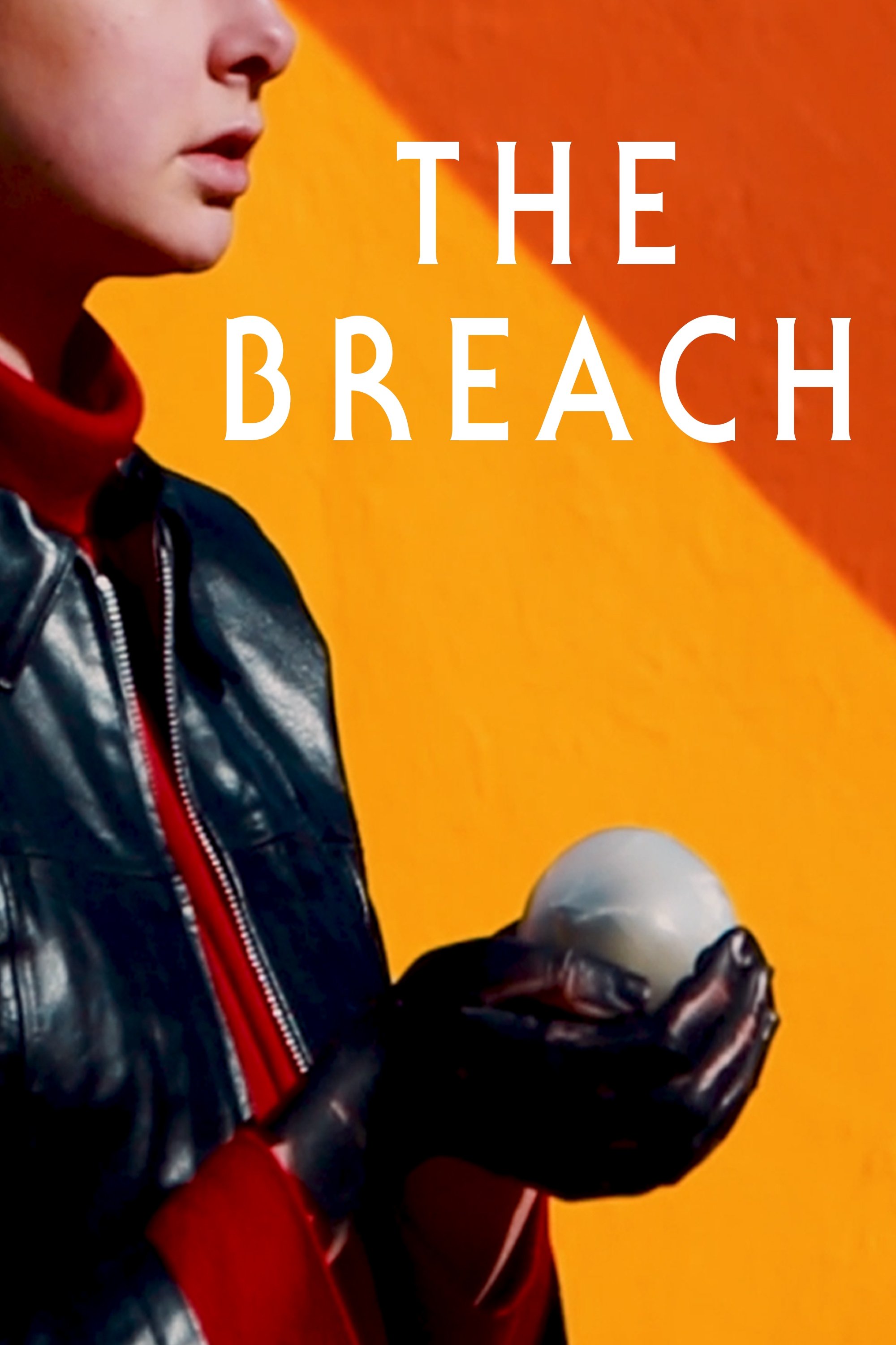 Poster de The Breach