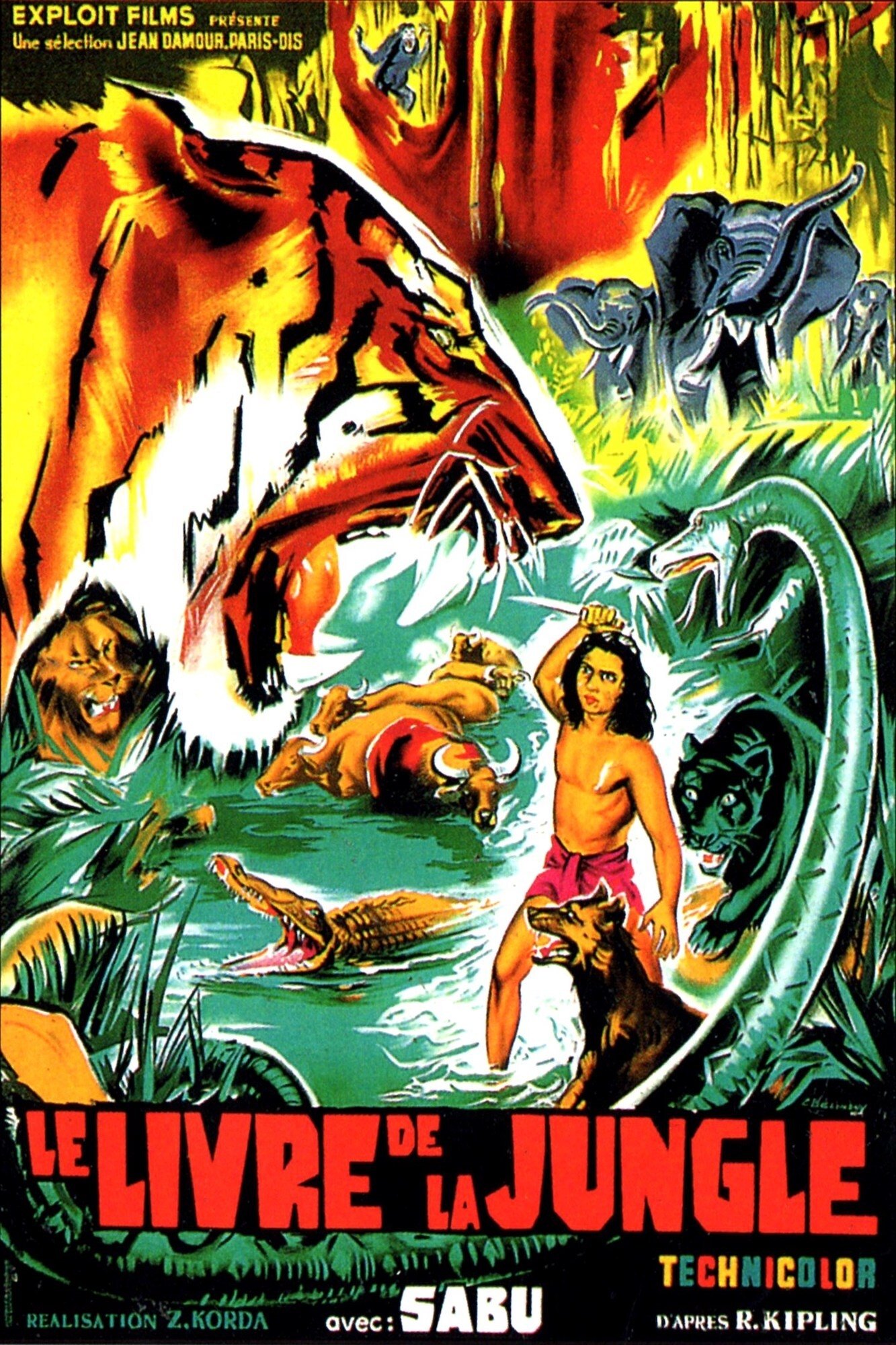 Affiche du film Jungle Book