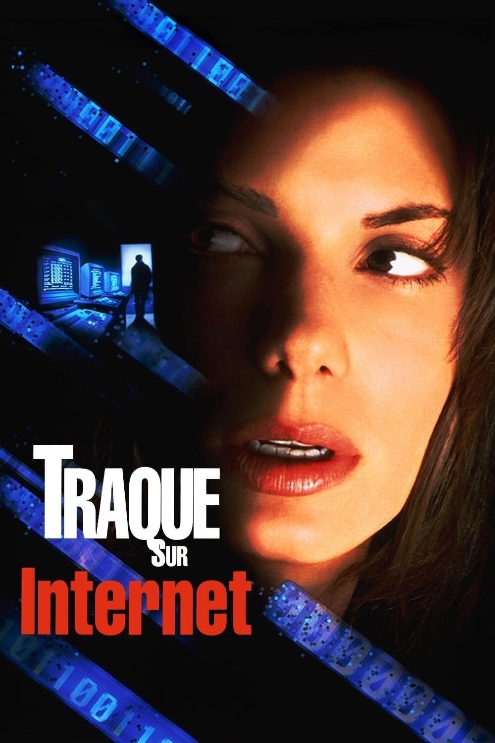 Affiche du film The Net