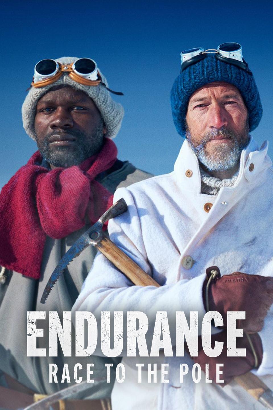 Poster de Endurance: Race to the Pole
