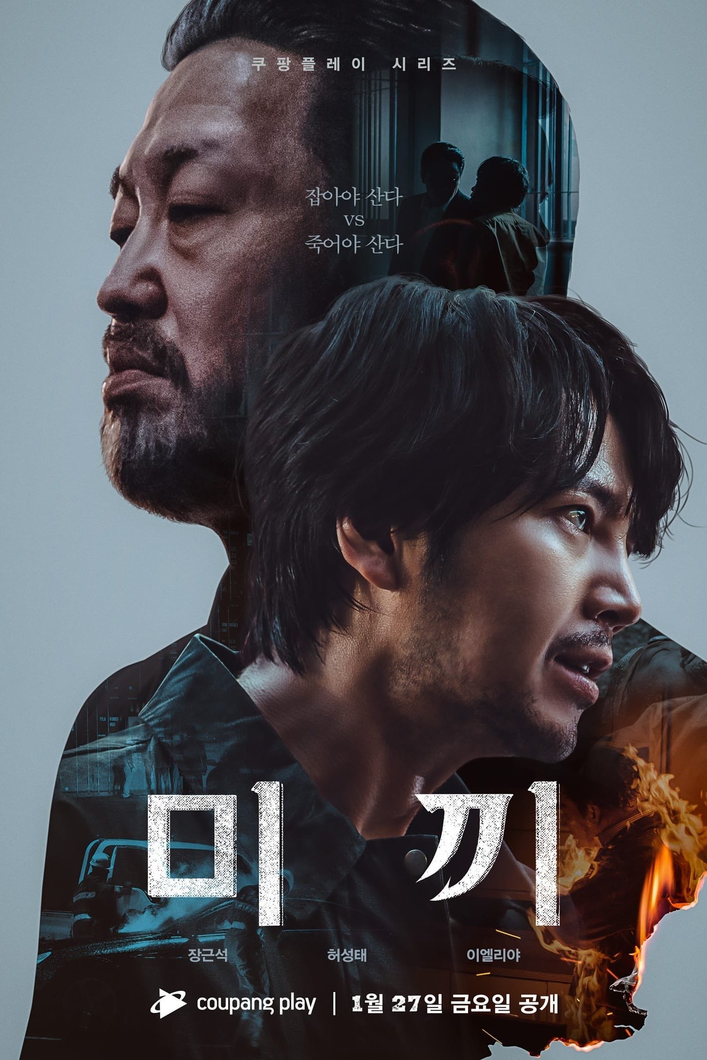 Poster de Decoy