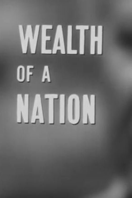 Poster de Wealth of a Nation