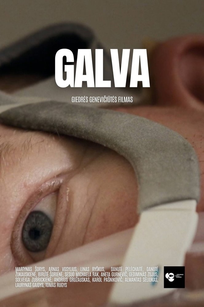 Poster de Galva
