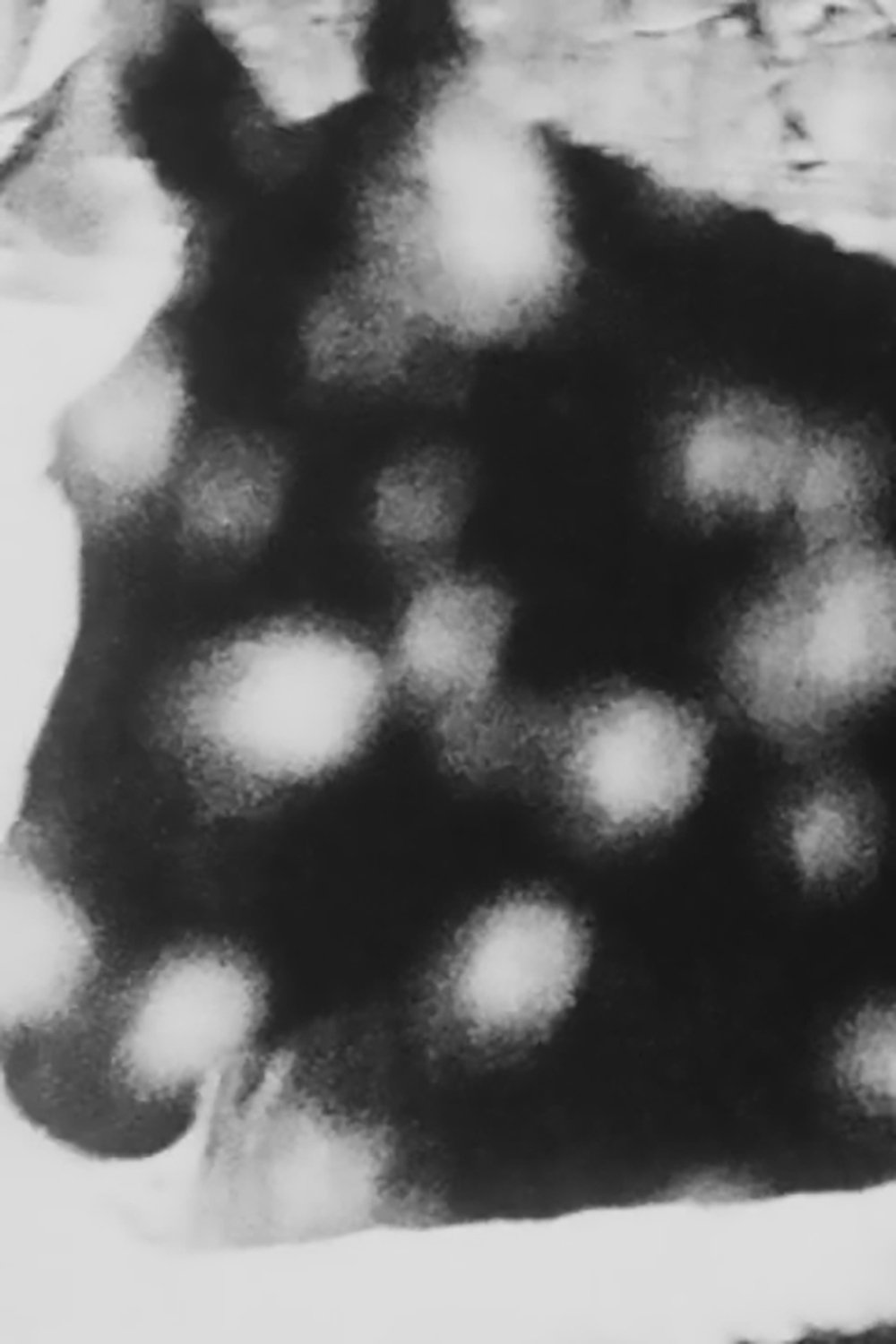 Poster de A Constellation of 6 Super 8 Films (1991 – 2010)