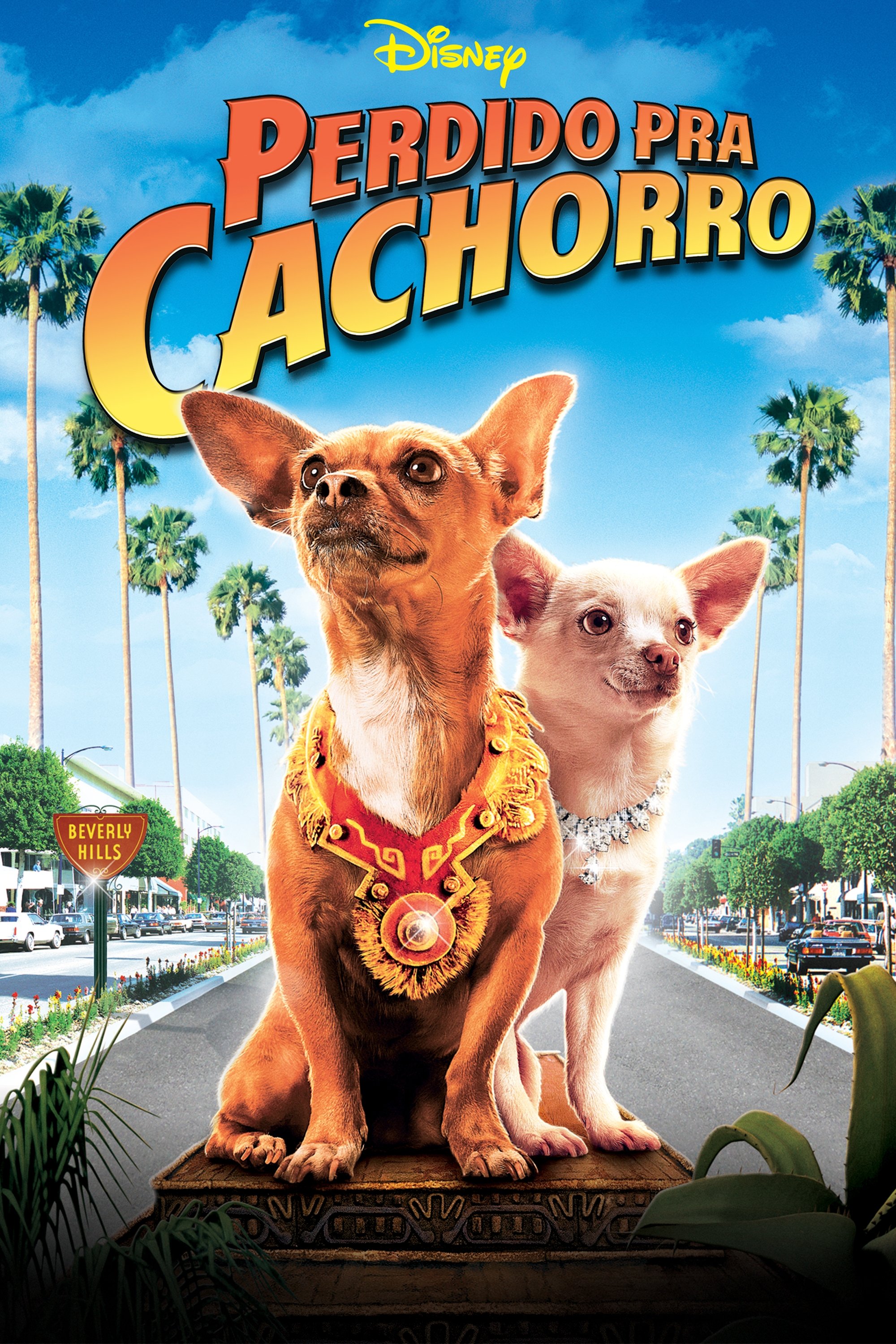 Poster de Perdido pra Cachorro