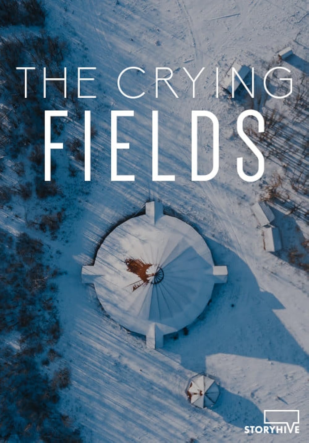 Poster de The Crying Fields