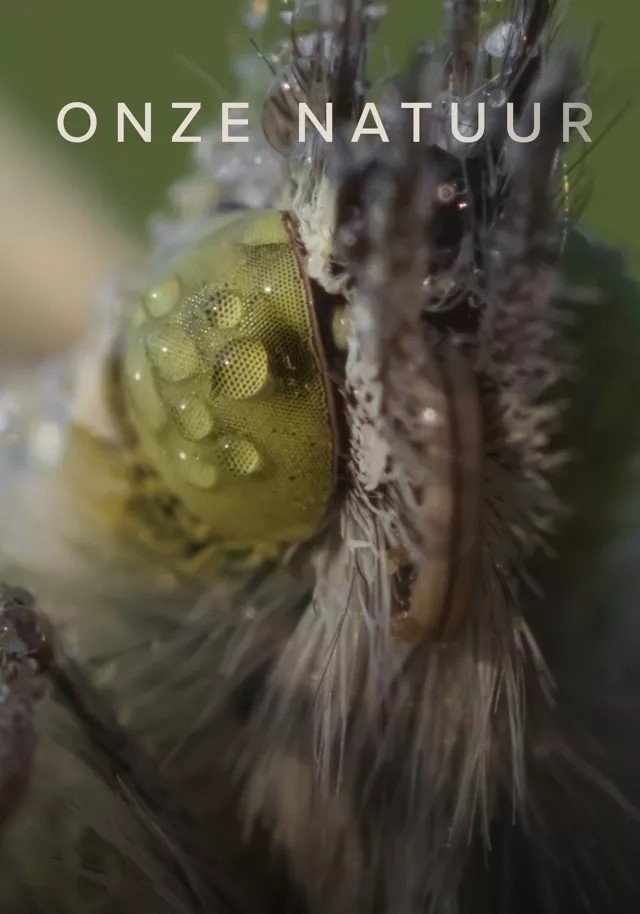 Poster de Onze natuur