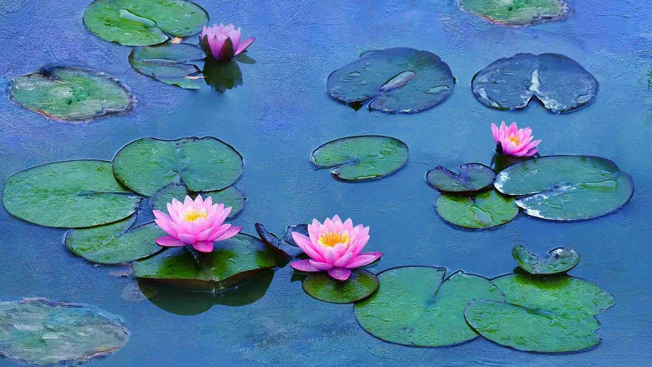 Water Lilies by Monet 2018 123movies