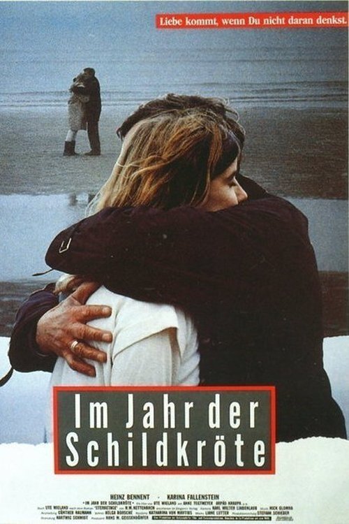 Affiche du film Im Jahr der Schildkröte