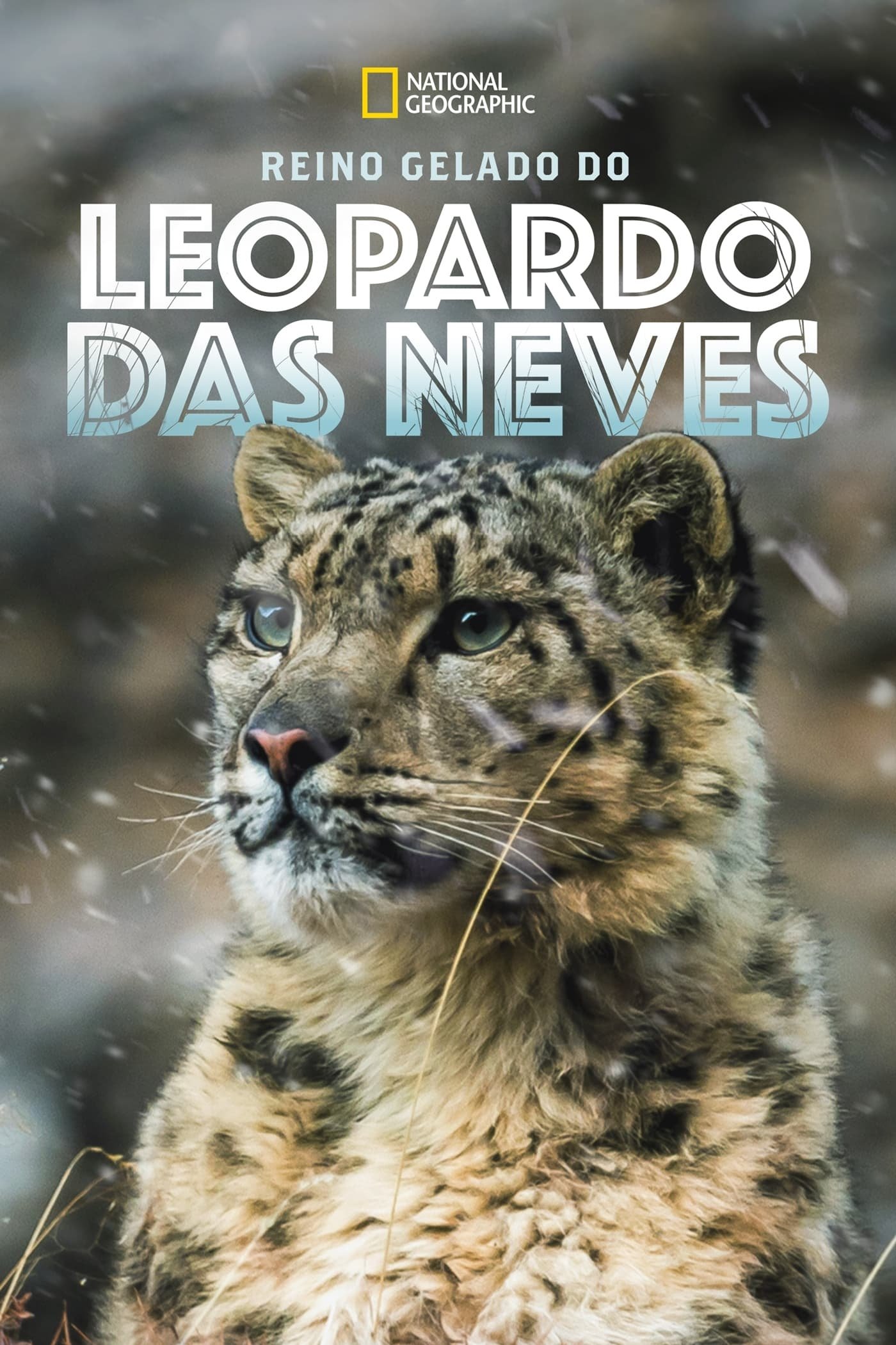 Poster de Reino Gelado do Leopardo das Neves