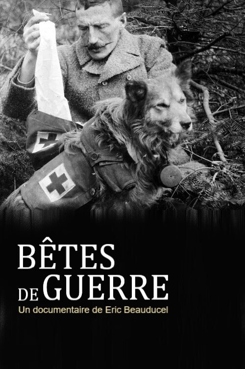 Poster de Bêtes de guerre