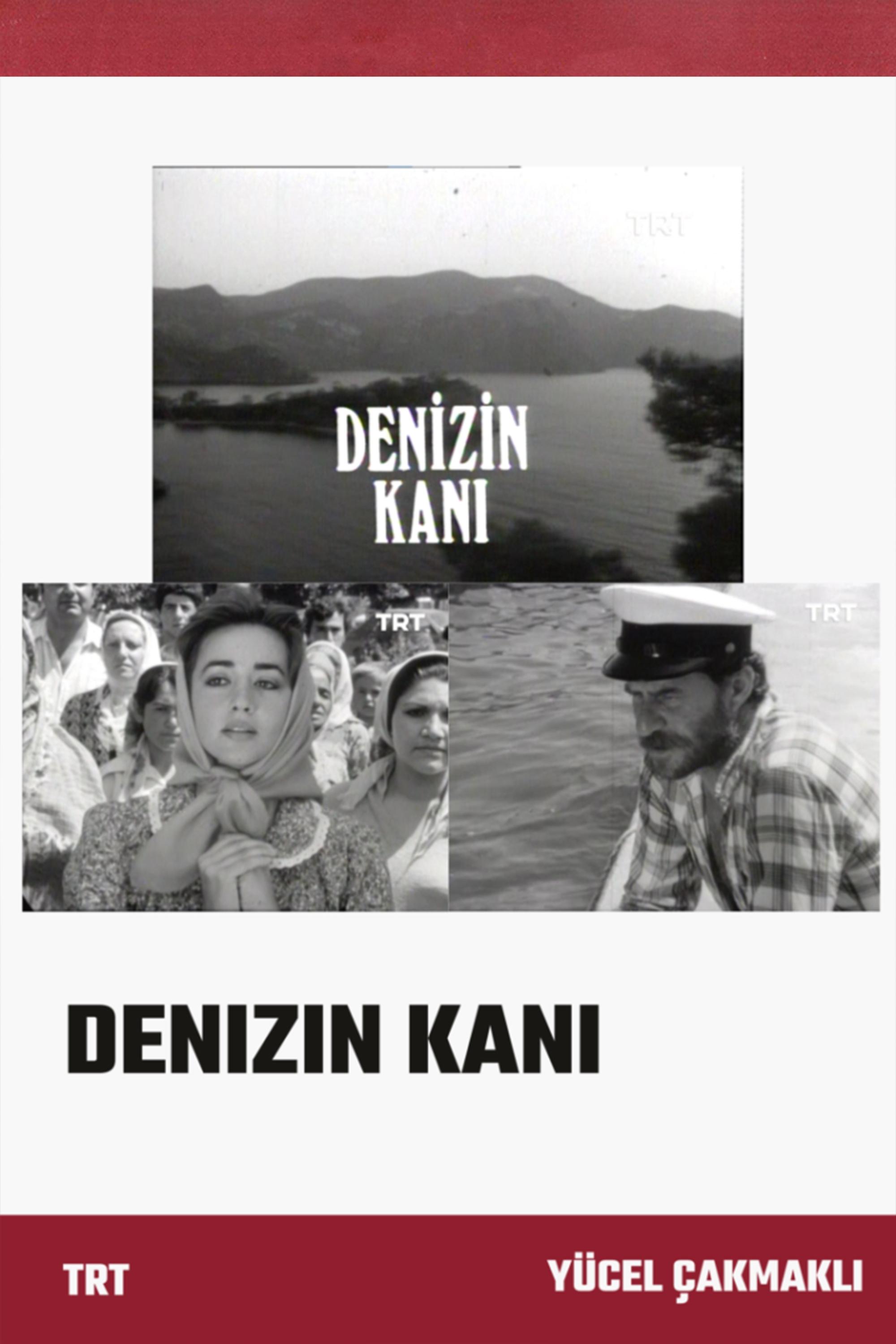 Poster de Denizin Kanı