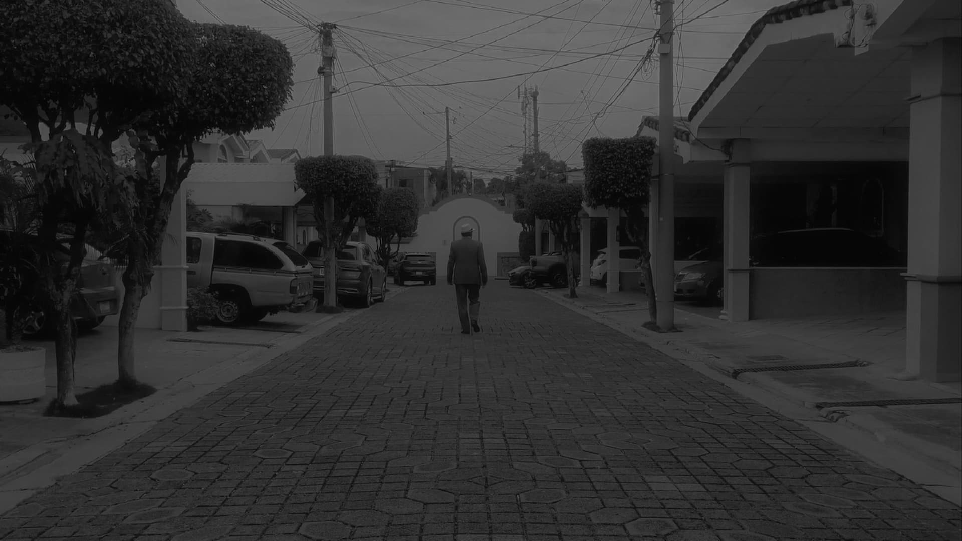 Director