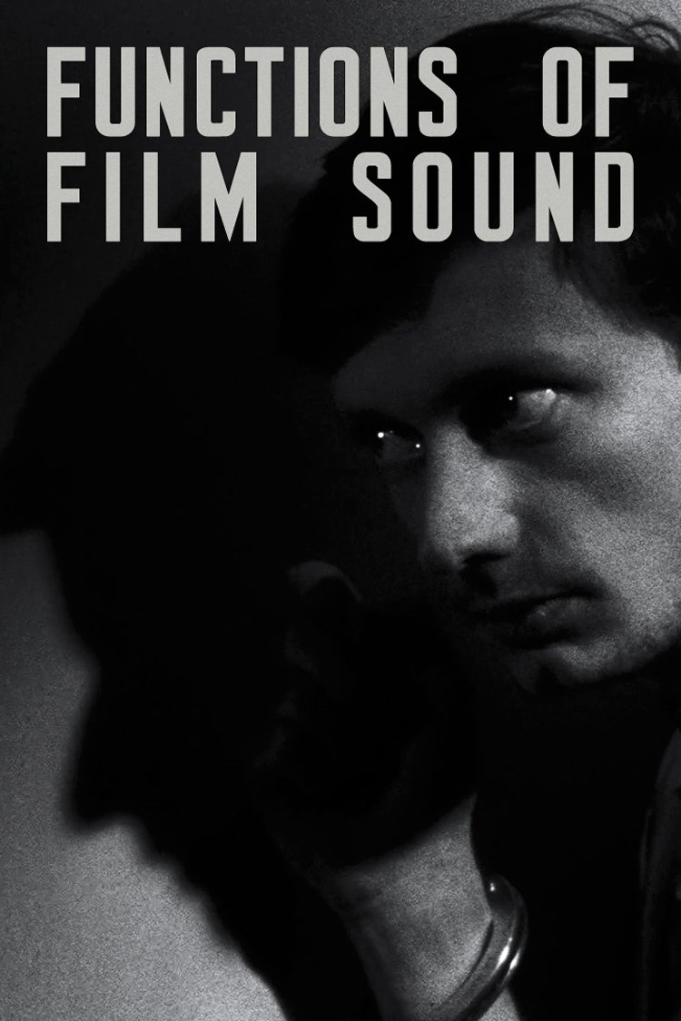 Poster de Functions of Film Sound