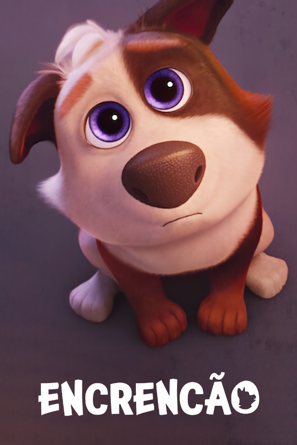 Poster de EncrenCão