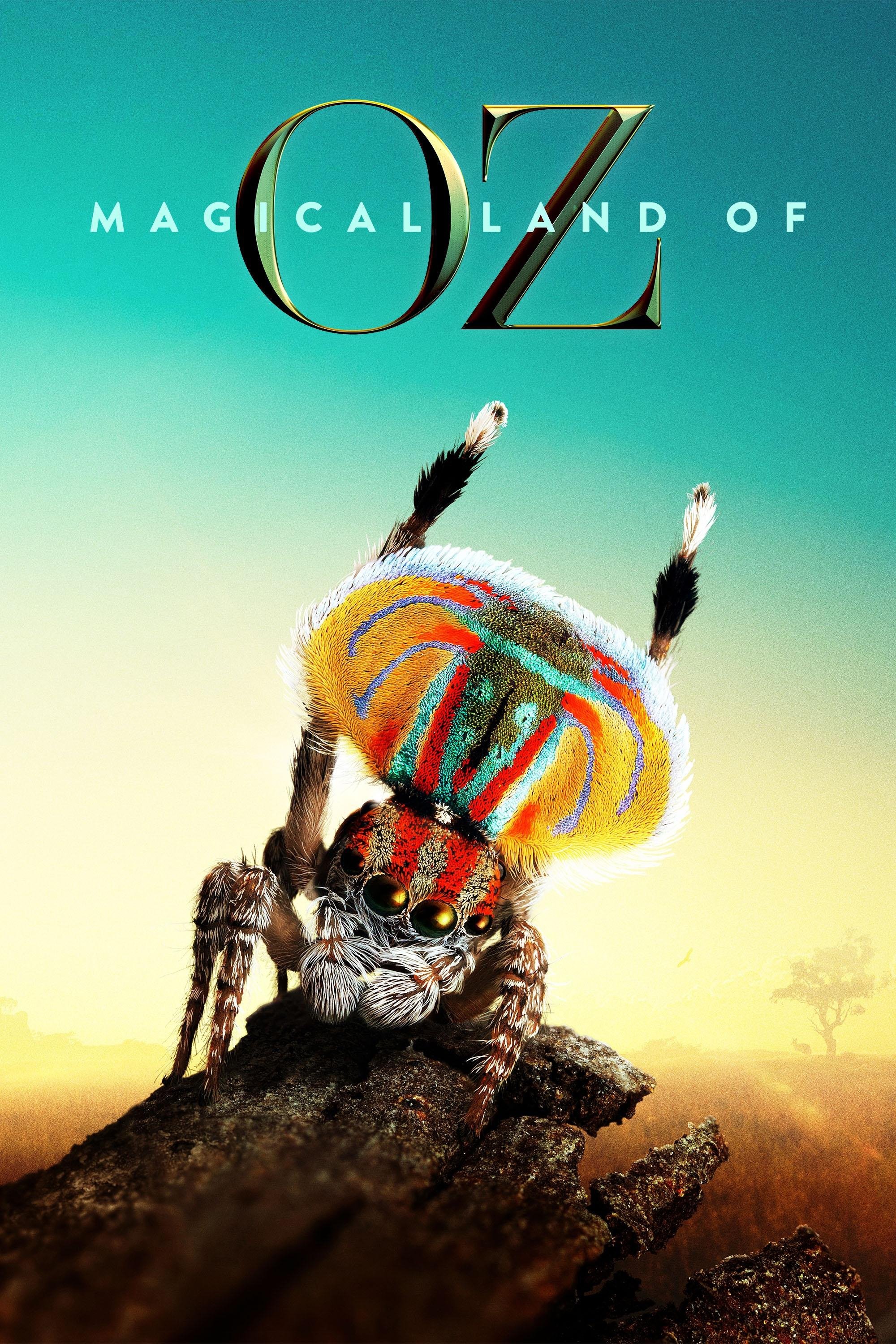 Poster de Magical Land of Oz