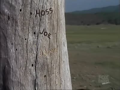 Bonanza 13×1