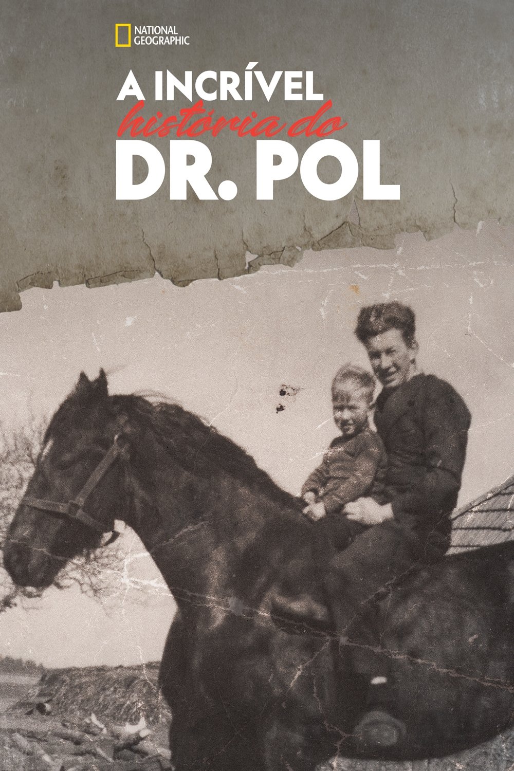 Poster de A Incrível História do Dr. Pol