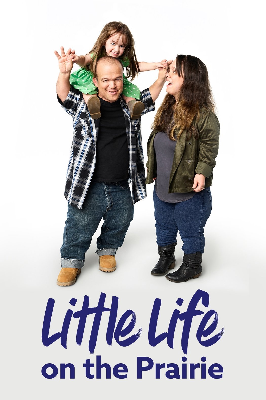 Poster de Little Life on the Prairie