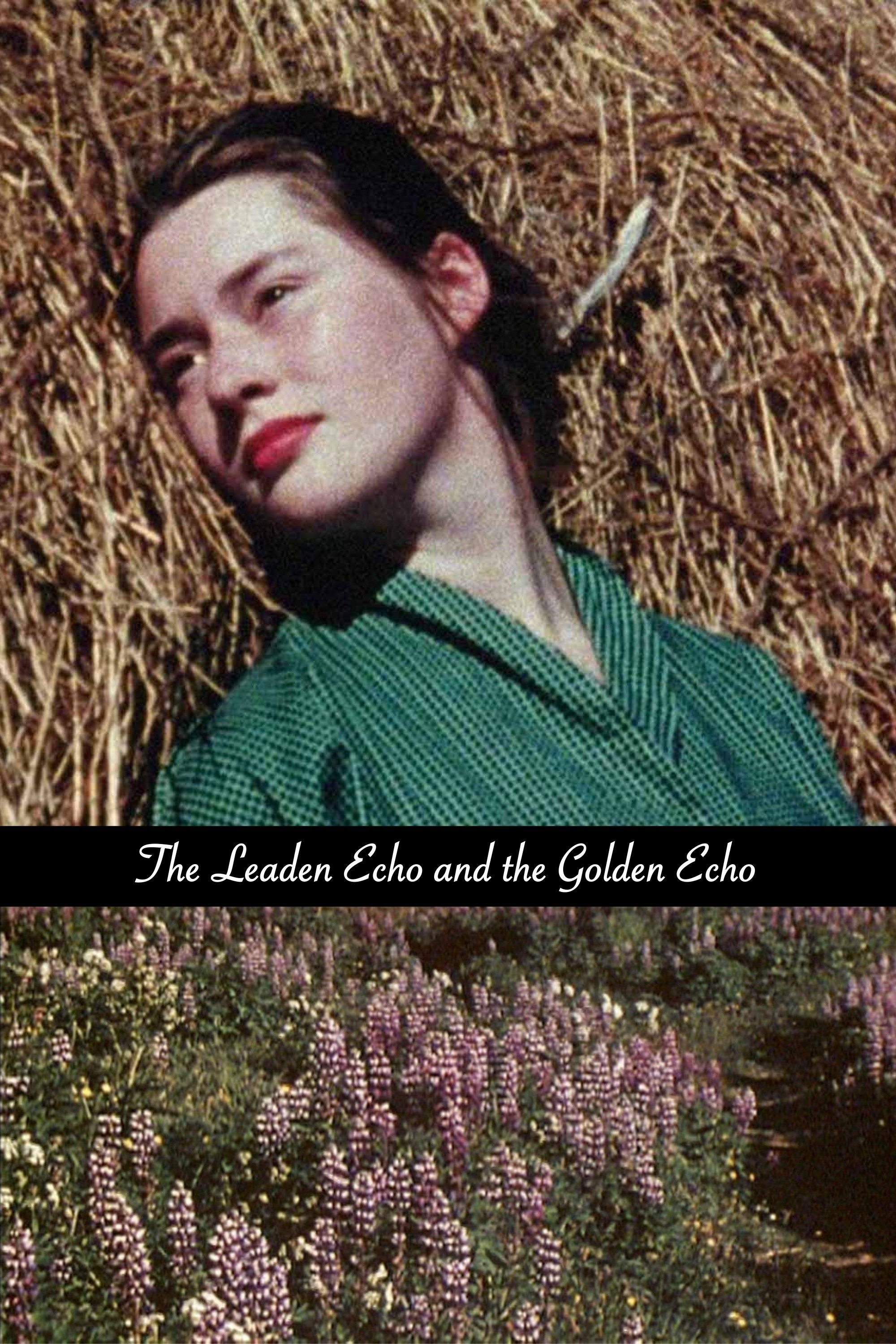 Poster de The Leaden Echo and the Golden Echo