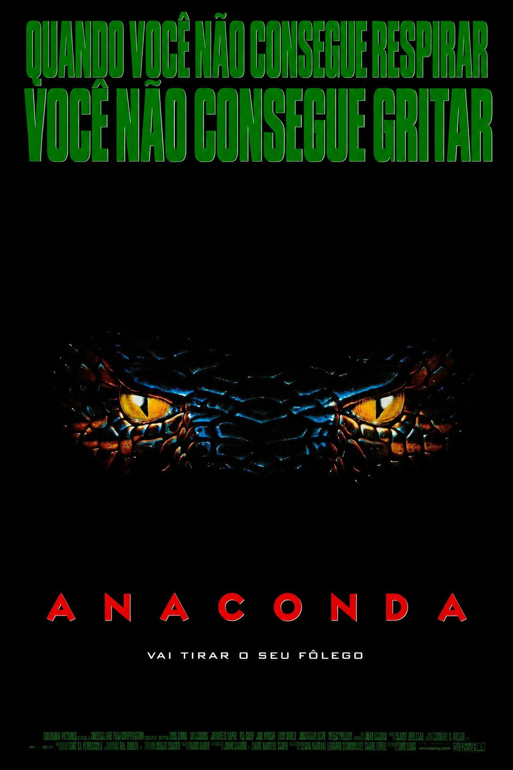 Anaconda