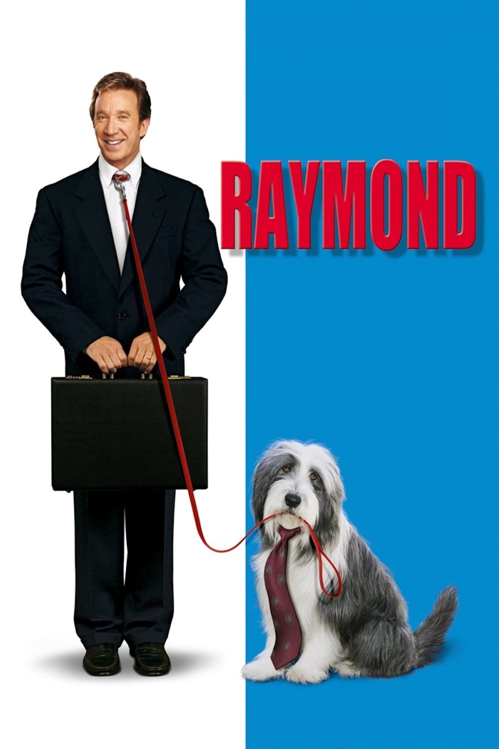 Affiche du film The Shaggy Dog