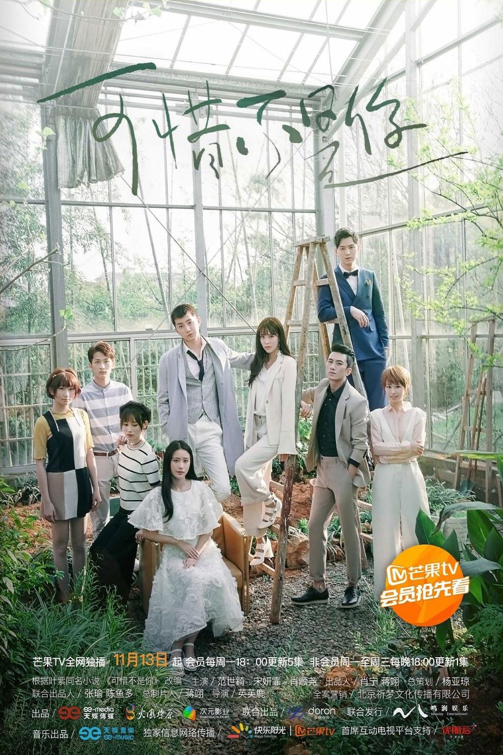 Poster de 可惜不是你
