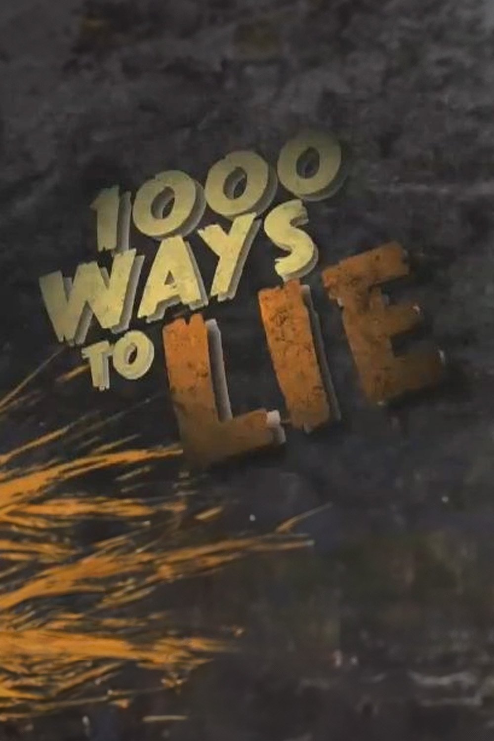 Poster de 1000 Ways to Lie