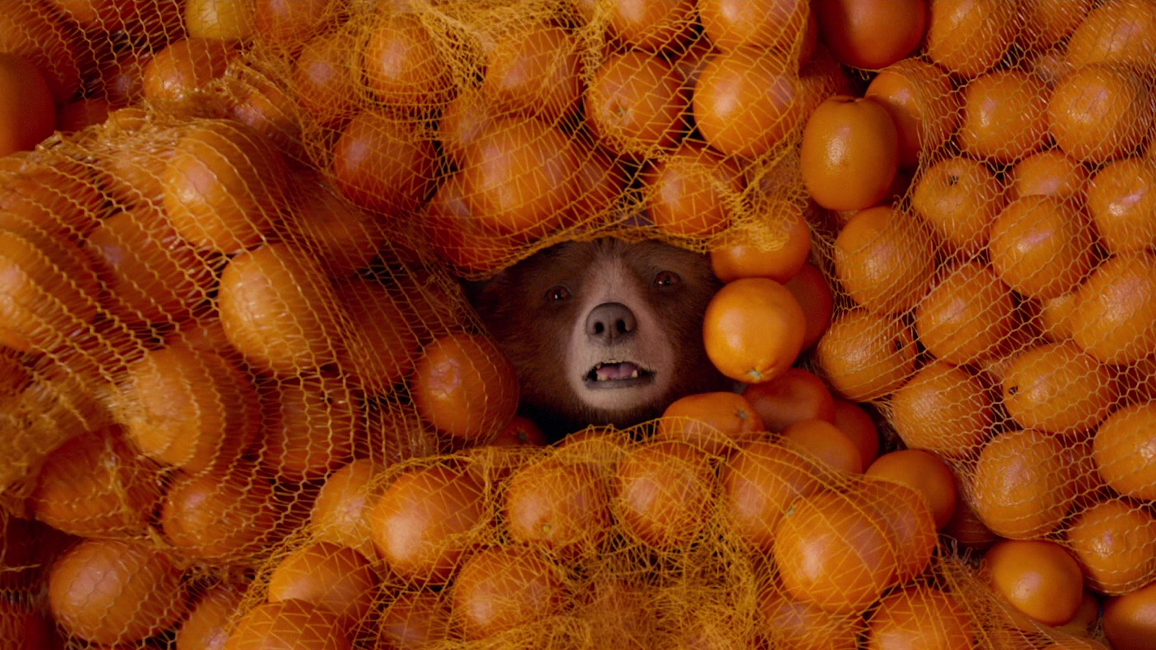 Backdrop image