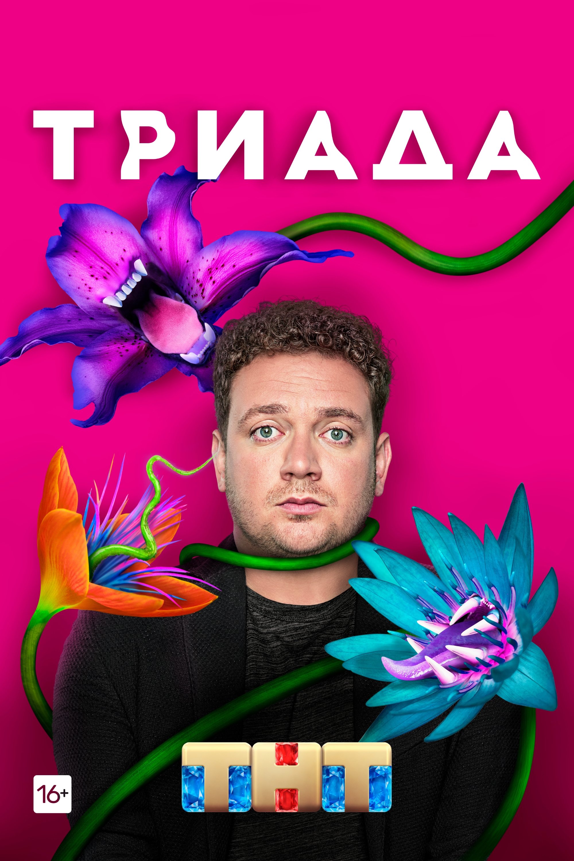Poster de Temporada 1