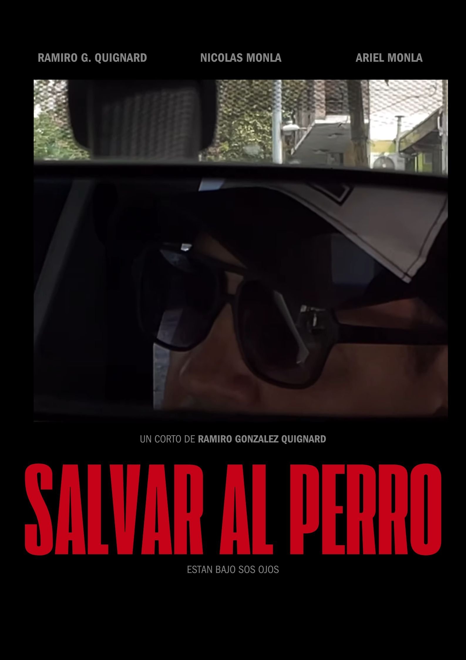 Poster de Salvar al Perro